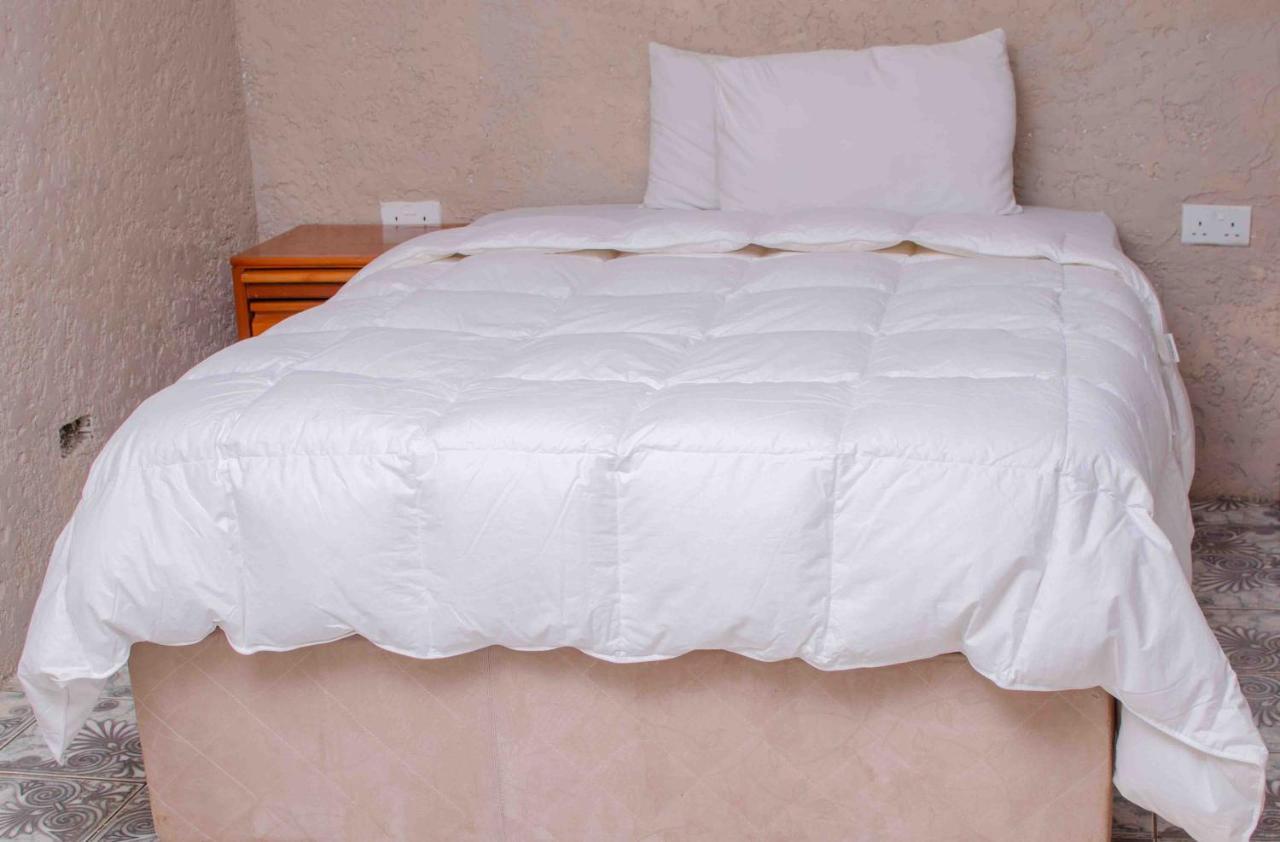 Bluff Hill The Graceland Guesthouse מראה חיצוני תמונה