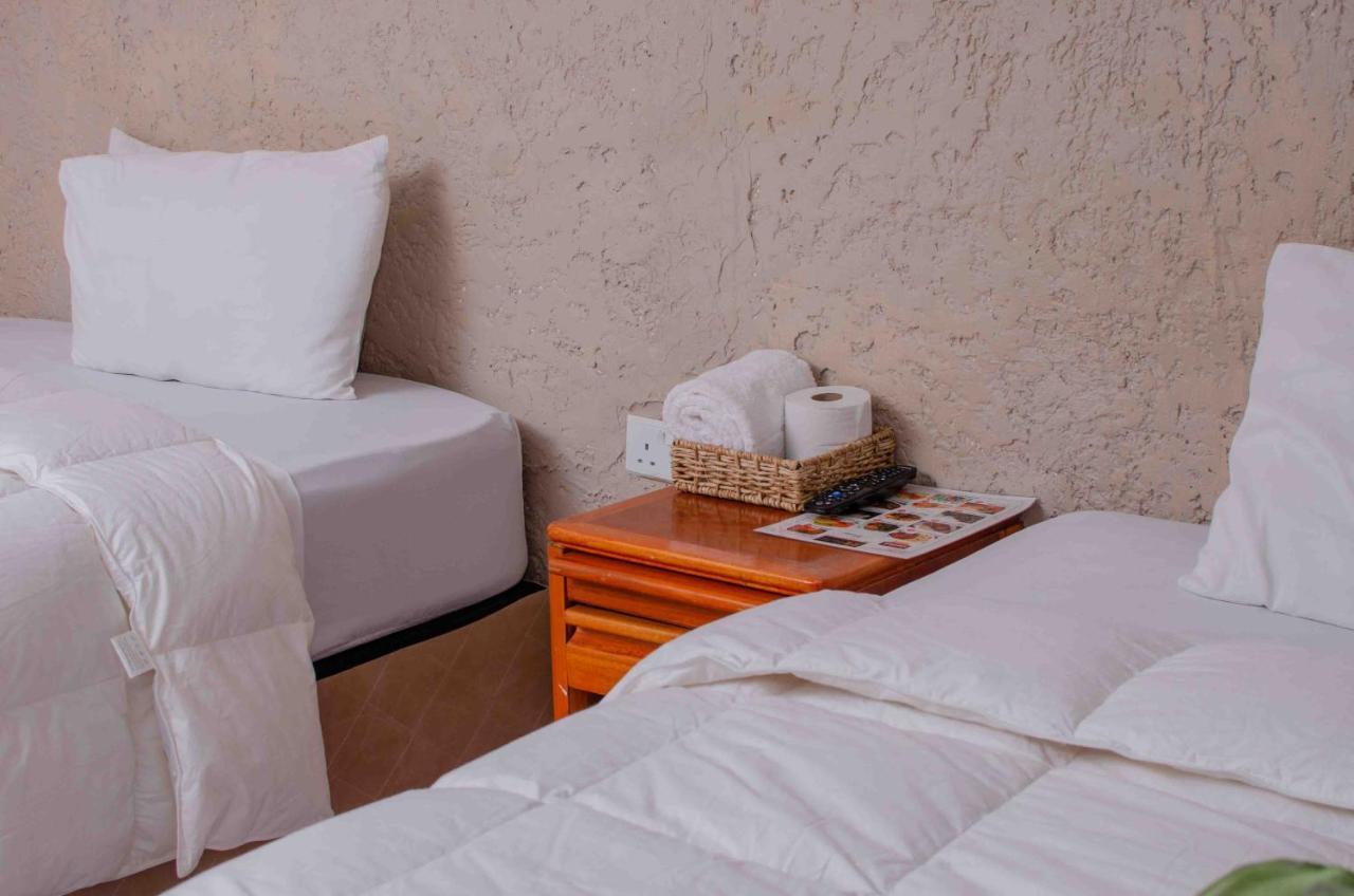 Bluff Hill The Graceland Guesthouse מראה חיצוני תמונה
