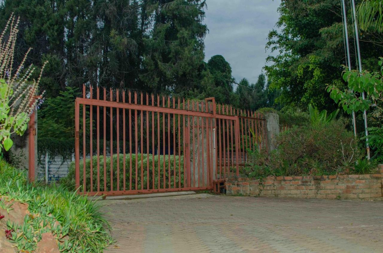 Bluff Hill The Graceland Guesthouse מראה חיצוני תמונה