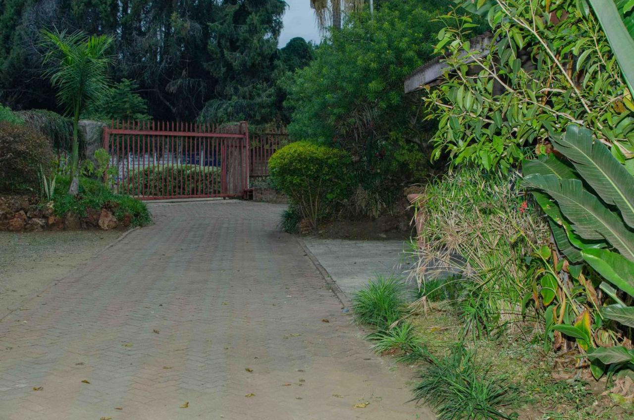 Bluff Hill The Graceland Guesthouse מראה חיצוני תמונה