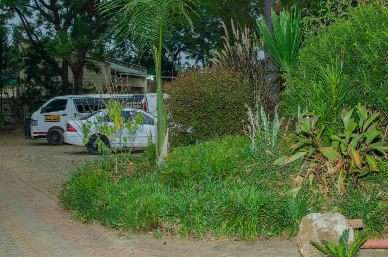 Bluff Hill The Graceland Guesthouse מראה חיצוני תמונה