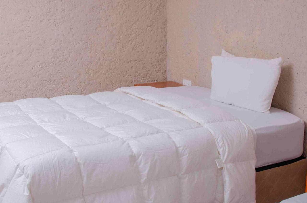 Bluff Hill The Graceland Guesthouse מראה חיצוני תמונה