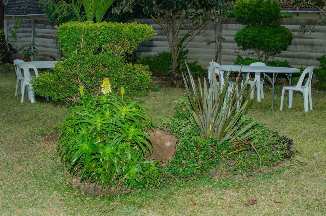 Bluff Hill The Graceland Guesthouse מראה חיצוני תמונה