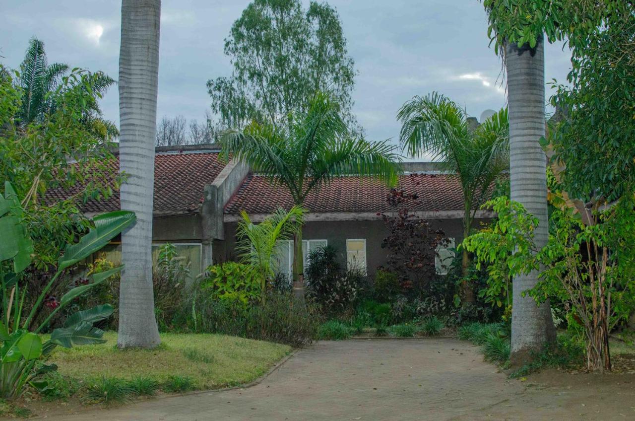 Bluff Hill The Graceland Guesthouse מראה חיצוני תמונה
